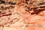 20150912-Zion-Nikon-141.jpg