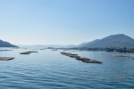 20151018-Miyajima-Nikon-01.jpg