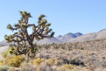 20150917-Death-Valley-Nikon-78.jpg