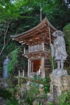 20151019-Miyajima-Nikon-60.jpg