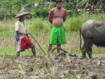 20151113-Bohol-Lumix-07.jpg