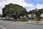 20151201-Paihia-Nikon-07.jpg