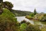 20151201-Paihia-Nikon-10.jpg