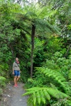 20151201-Paihia-Nikon-11.jpg