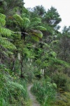 20151201-Paihia-Nikon-17.jpg
