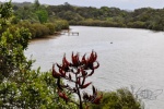 20151201-Paihia-Nikon-21.jpg