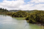 20151202-Paihia-Nikon-42.jpg