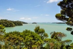 20151202-Paihia-Nikon-49.jpg