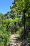 20151202-Paihia-Nikon-52.jpg