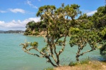 20151202-Paihia-Nikon-54.jpg