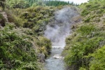 20151204-Rotorua-Nikon-01.jpg
