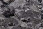 20151204-Rotorua-Nikon-16.jpg