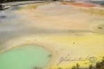 20151204-Rotorua-Nikon-19.jpg