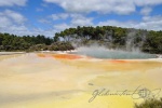 20151204-Rotorua-Nikon-22.jpg
