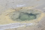 20151204-Rotorua-Nikon-30.jpg