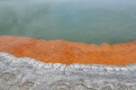 20151204-Rotorua-Nikon-36.jpg