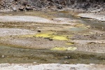 20151204-Rotorua-Nikon-65.jpg
