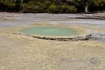 20151204-Rotorua-Nikon-68.jpg