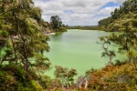 20151204-Rotorua-Nikon-74.jpg