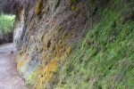 20151204-Rotorua-Nikon-77.jpg