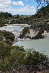 20151204-Rotorua-Nikon-82.jpg