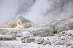 20151205-Rotorua-Nikon-158.jpg