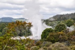 20151205-Rotorua-Nikon-179.jpg