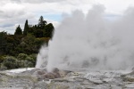 20151205-Rotorua-Nikon-184.jpg