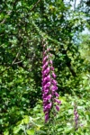 20151207-Taupo-Nikon-06.jpg
