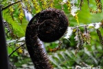 20151207-Taupo-Nikon-11.jpg