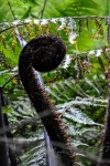 20151207-Taupo-Nikon-12.jpg