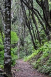 20151207-Taupo-Nikon-14.jpg