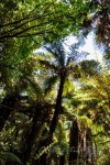 20151207-Taupo-Nikon-32.jpg