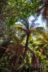 20151207-Taupo-Nikon-33.jpg