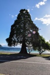 20151208-Taupo-Nikon-51.jpg