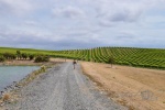 20151210-Kaikoura-Nikon-02.jpg
