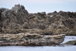 20151211-Kaikoura-Nikon-117.jpg