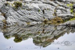 20151211-Kaikoura-Nikon-140.jpg