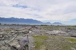 20151211-Kaikoura-Nikon-79.jpg