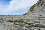 20151211-Kaikoura-Nikon-81.jpg