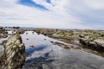 20151211-Kaikoura-Nikon-85.jpg