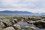 20151211-Kaikoura-Nikon-94.jpg