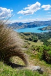 20151214-Akaroa-Nikon-20.jpg