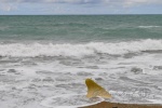 20151216-Oamaru-Nikon-07.jpg