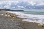 20151216-Oamaru-Nikon-10.jpg