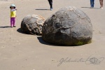 20151217-Dunedin-Nikon-21.jpg