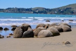 20151217-Dunedin-Nikon-39.jpg