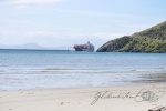 20151218-Dunedin-Nikon-155.jpg