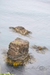 20151219-Catlines-Nikon-06.jpg